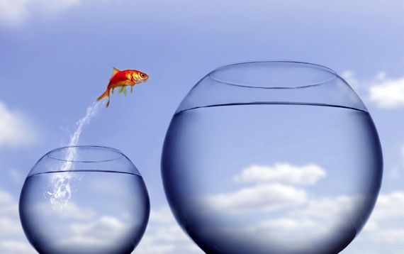 ACCOUNT�NG AND F�NANC�AL STATEMENTS EDUCATION
