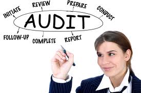 WWW.DT-AUDIT.COM MERHABA