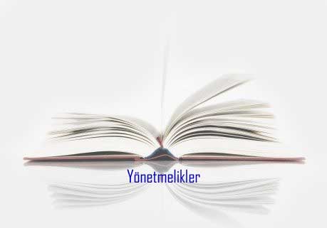 MESLEK MENSUPLARININ BA�IMSIZ DENET�� M�RACAT TAR�H� 