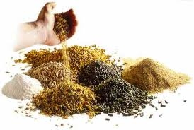 D�KKAT: Yem ve G�brede KDV Oran� D���r�ld�, Ancak Uygulama Sorunlarla Ba�lad�.  