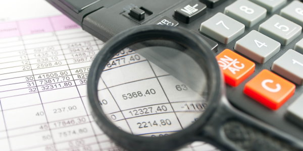 M�kellef Haklar� �zerine Bir D�zenleme: Vergi �ncelemelerinde Yeni Esaslar